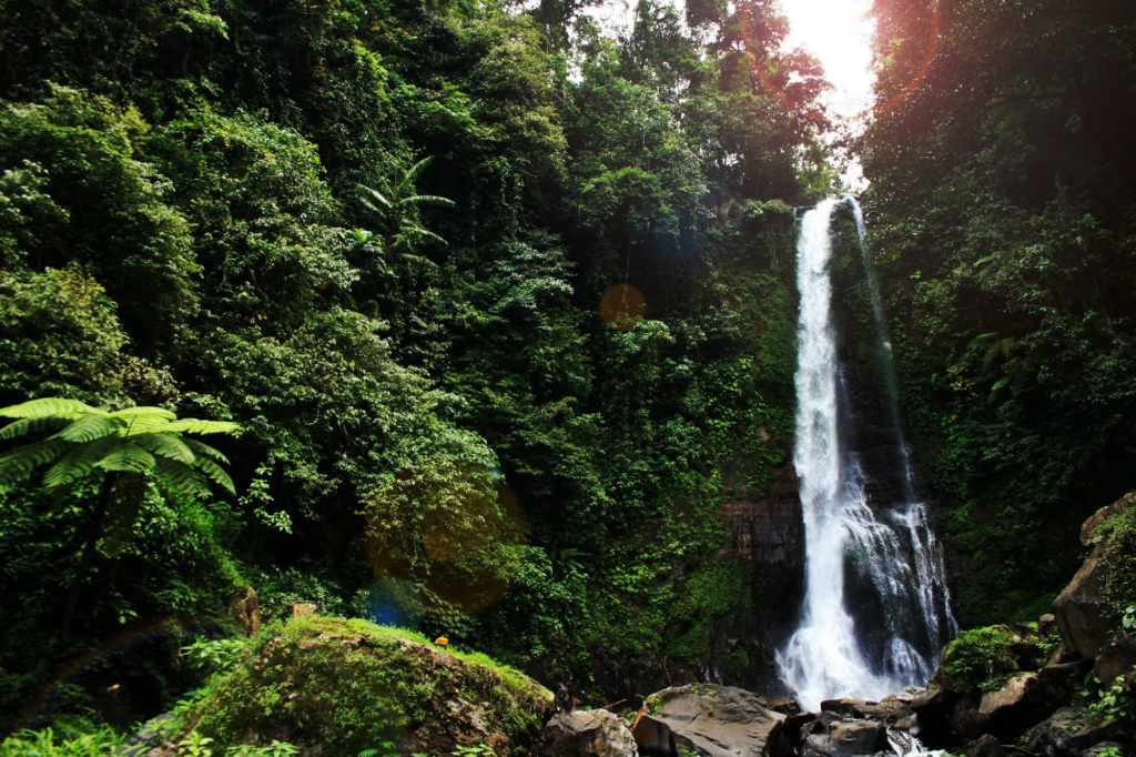 Waterfalls In Bali