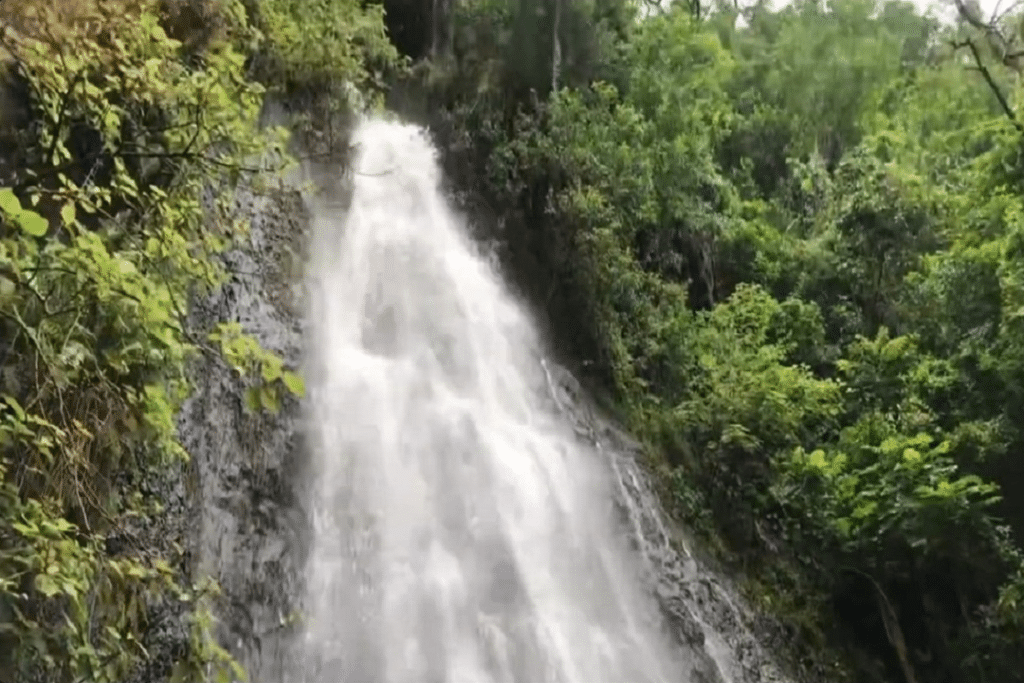 Hamama Falls hike