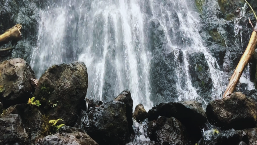 Hamama Falls Oahu