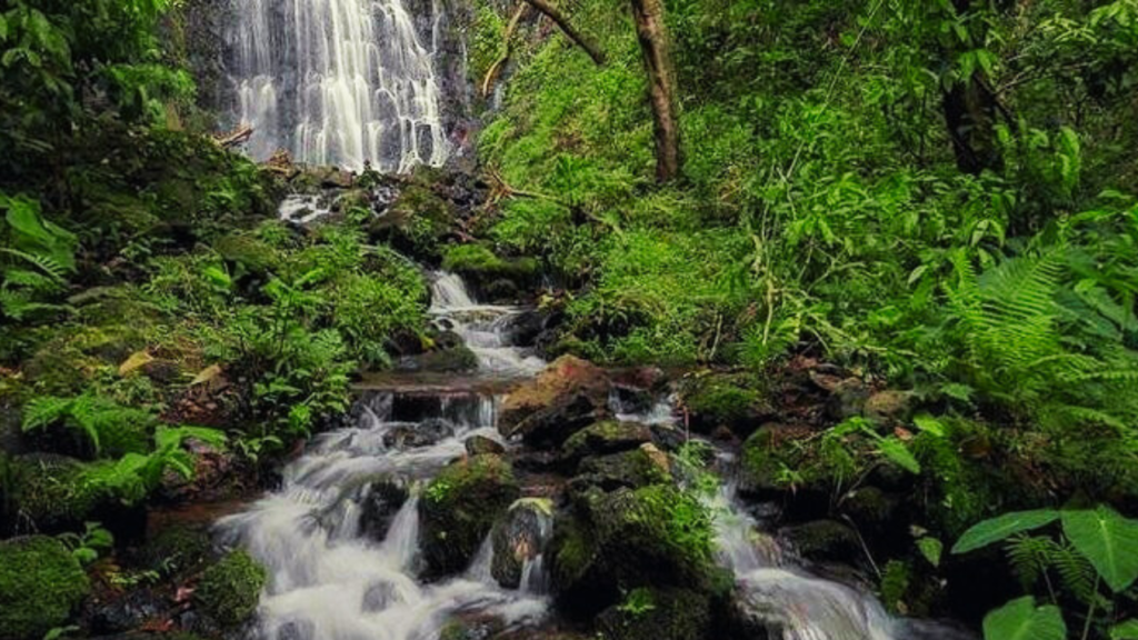 Hamama Falls