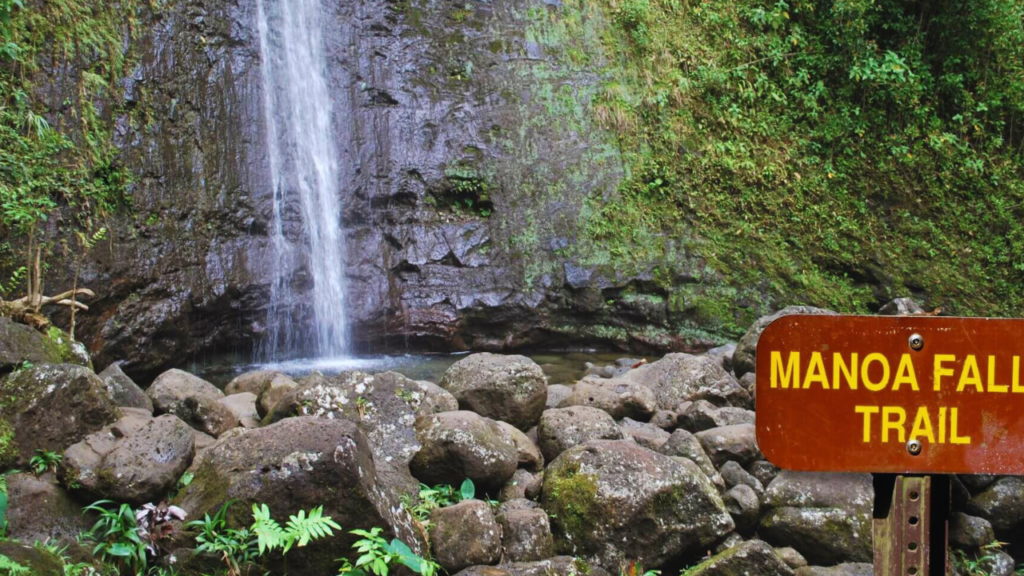 Manoa Falls